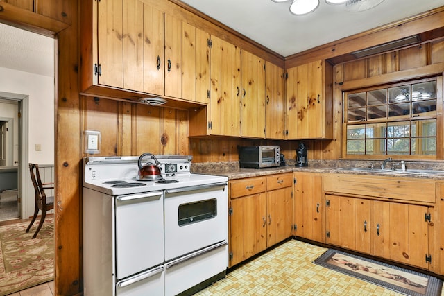 kitchen with double oven range, wooden walls, and sink