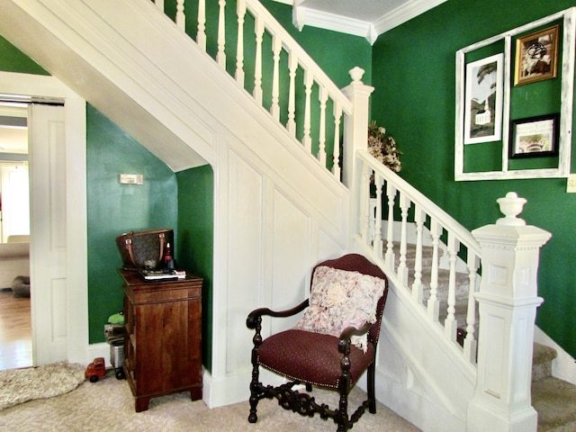 stairway featuring crown molding and carpet