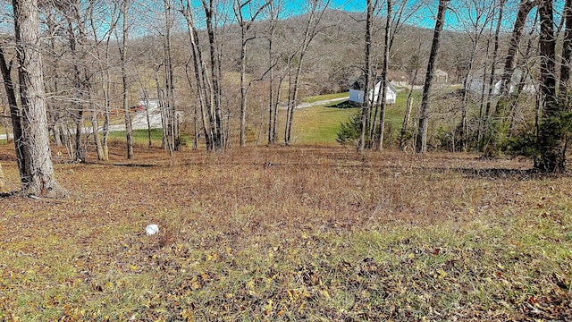 97 Wild Rose Dr, Monticello, KY 42633