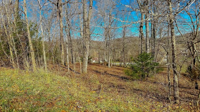 97 Wild Rose Dr, Monticello, KY 42633
