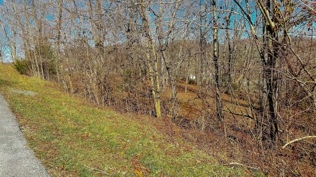 97 Wild Rose Dr, Monticello, KY 42633