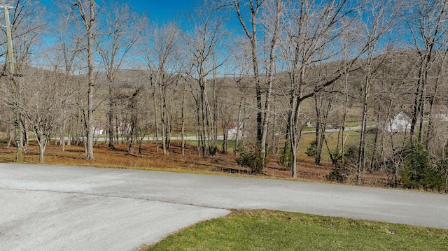 Listing photo 2 for 97 Wild Rose Dr, Monticello KY 42633