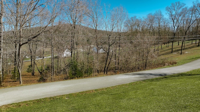 Listing photo 3 for 97 Wild Rose Dr, Monticello KY 42633