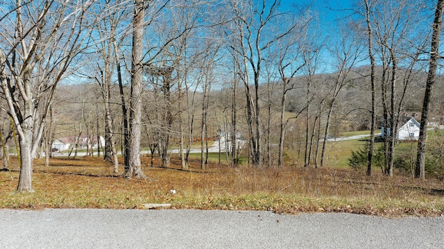 97 Wild Rose Dr, Monticello, KY 42633