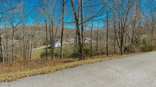 97 Wild Rose Dr, Monticello, KY 42633