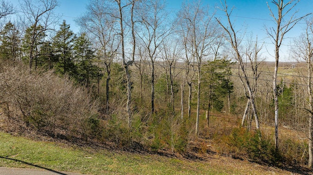 Listing photo 3 for 80 Deer Trl, Monticello KY 42633