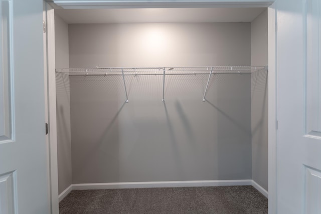 view of closet