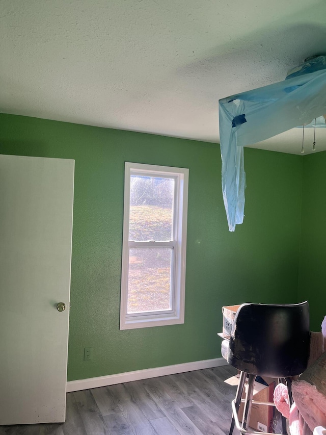 bathroom with hardwood / wood-style flooring