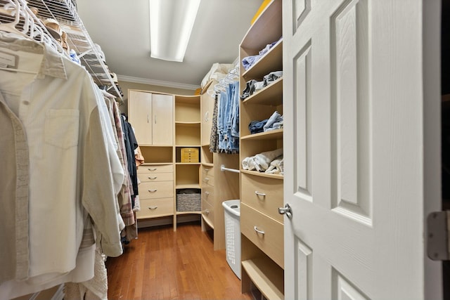 spacious closet with hardwood / wood-style flooring