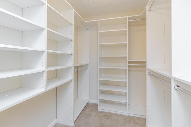 spacious closet with light carpet