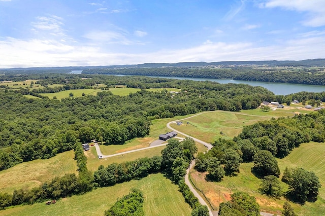 drone / aerial view featuring a rural view and a water view