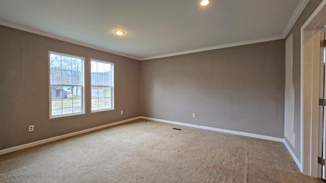 spare room featuring carpet and crown molding