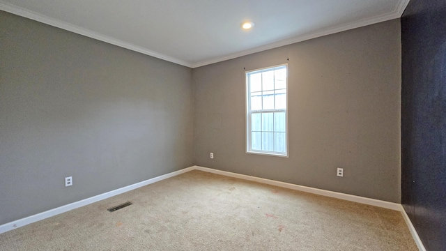 empty room with carpet floors and crown molding