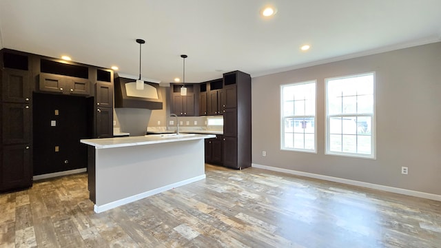 kitchen with a wealth of natural light, an island with sink, hanging light fixtures, and light hardwood / wood-style flooring