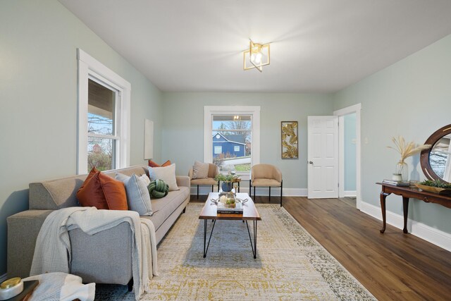 living room with dark hardwood / wood-style flooring