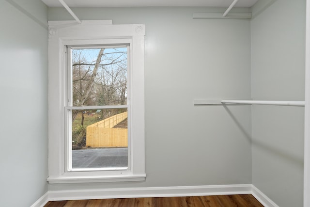 spacious closet featuring wood-type flooring