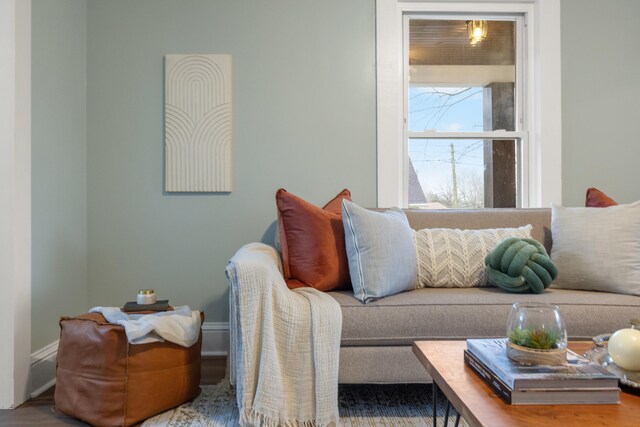 living room featuring wood-type flooring