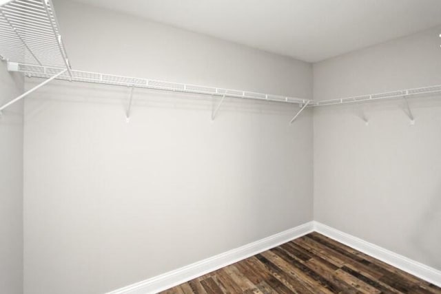 walk in closet featuring dark hardwood / wood-style flooring