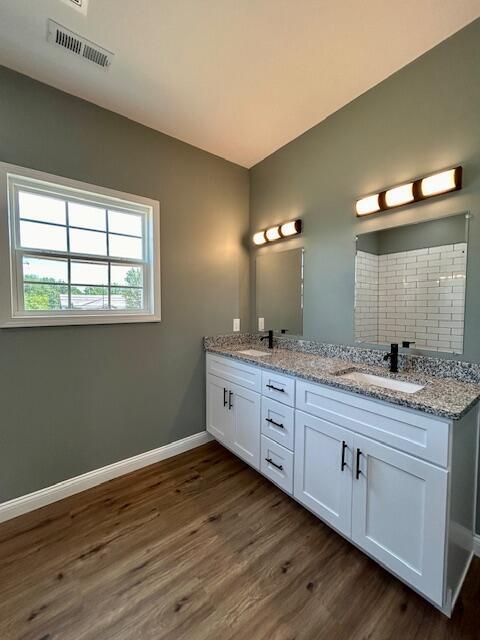 bathroom featuring vanity and wood-type flooring