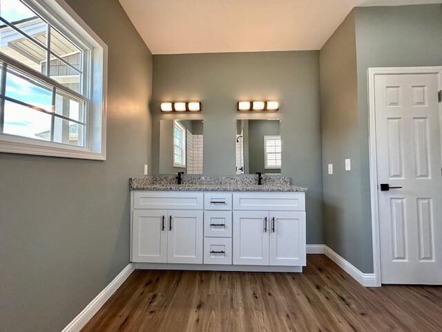 bathroom with hardwood / wood-style floors and vanity