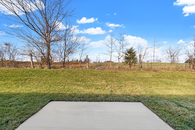 view of yard featuring a patio