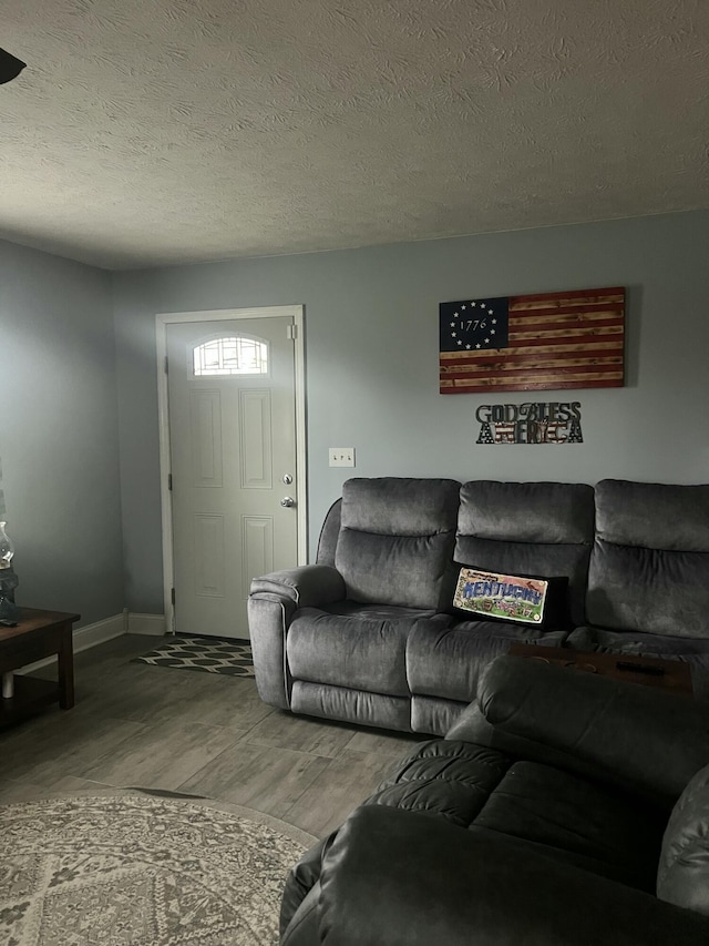 living room featuring hardwood / wood-style floors and a textured ceiling