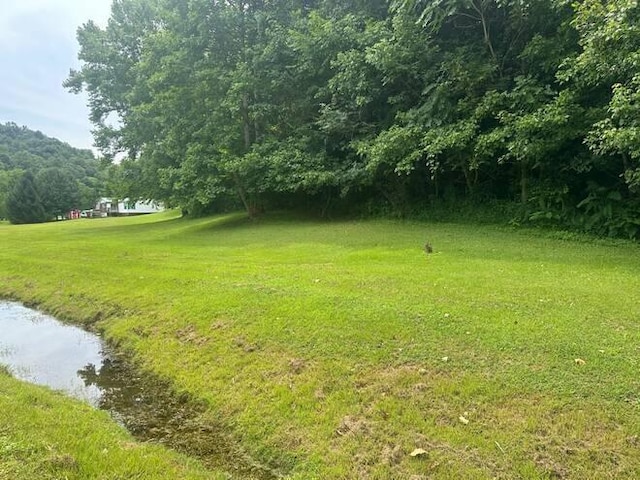 view of yard with a water view