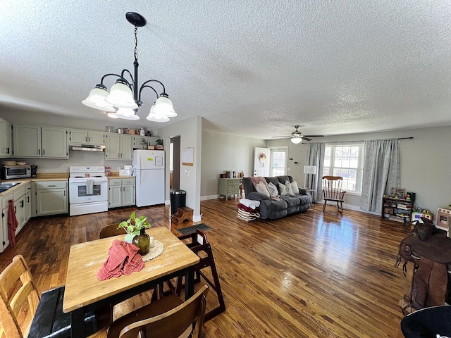 dining room with ceiling fan with notable chandelier, dark hardwood / wood-style flooring, and a textured ceiling