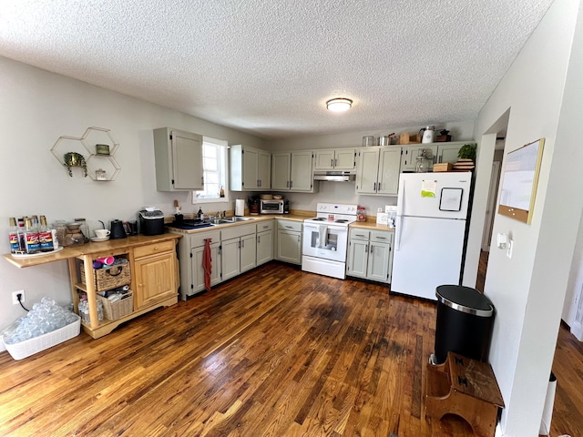 kitchen with gray cabinetry, dark hardwood / wood-style flooring, white appliances, and a textured ceiling