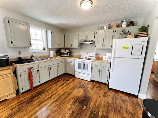 kitchen with a textured ceiling, sink, dark wood-type flooring, and white appliances