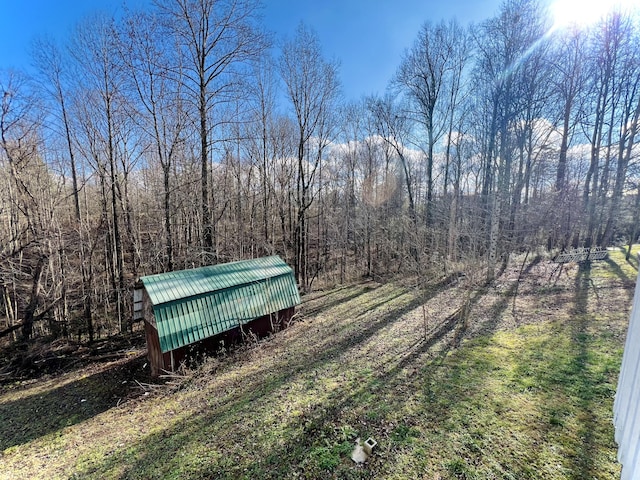 view of yard with an outdoor structure