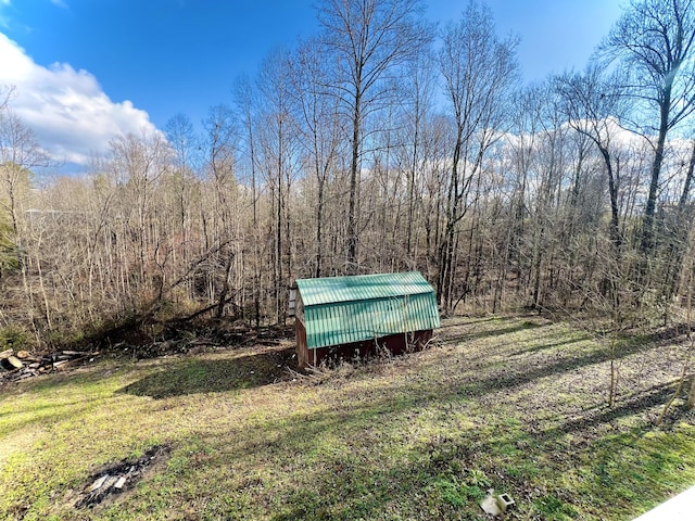 view of yard with a shed