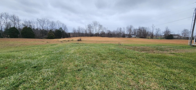 view of yard featuring a rural view