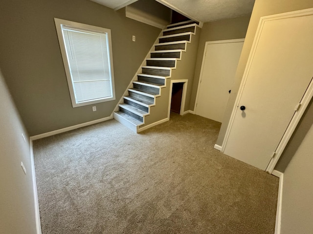 interior space with carpet