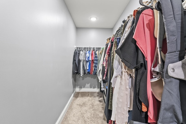 walk in closet with carpet