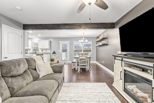 living room with dark hardwood / wood-style flooring, beamed ceiling, and ceiling fan with notable chandelier