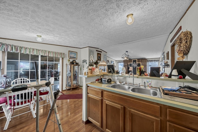 kitchen with a textured ceiling, dark hardwood / wood-style floors, vaulted ceiling, and sink