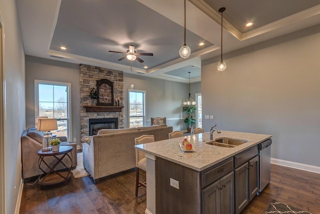 kitchen with a tray ceiling, light stone counters, sink, and stainless steel dishwasher