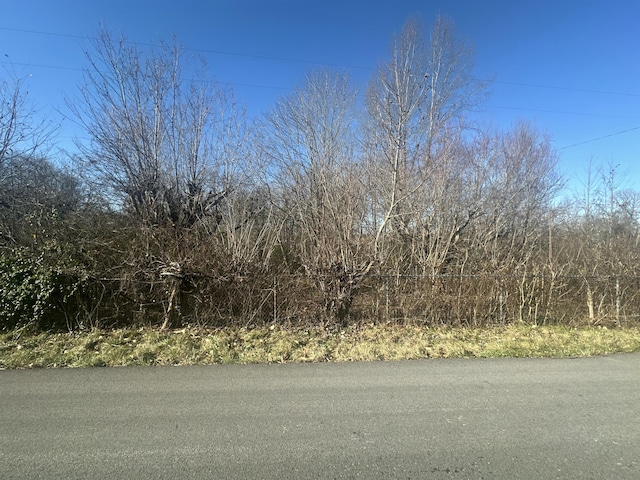 481 Piney Woods Rd, Nancy KY, 42544 land for sale