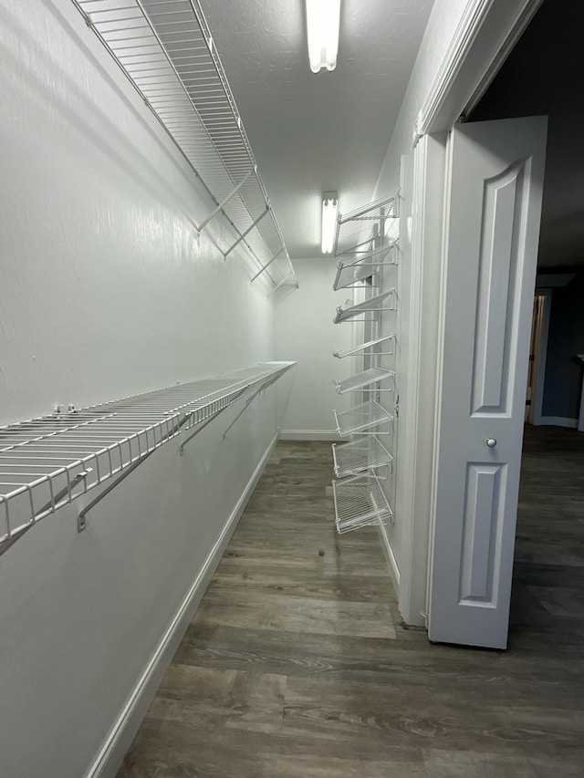 spacious closet with dark wood-type flooring