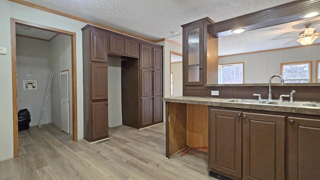 kitchen featuring light wood-type flooring, ornamental molding, dark brown cabinets, ceiling fan, and sink