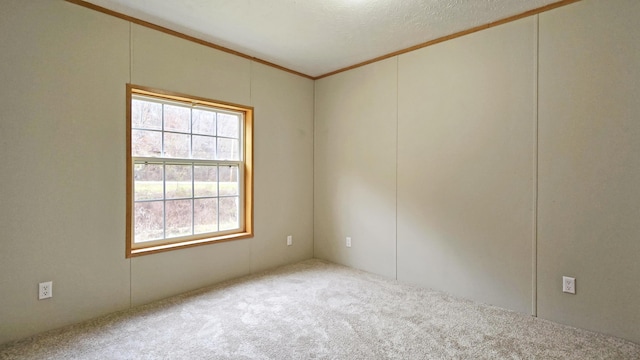 empty room featuring carpet and a textured ceiling