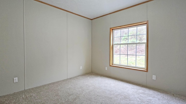 unfurnished room with carpet floors and crown molding