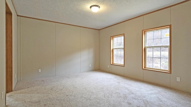 carpeted spare room featuring a textured ceiling