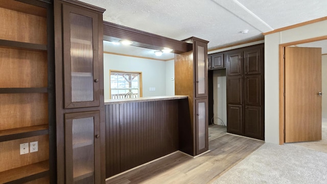 kitchen with dark brown cabinets, light wood-type flooring, a textured ceiling, and ornamental molding