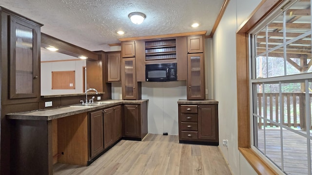 kitchen featuring crown molding, sink, light hardwood / wood-style flooring, a textured ceiling, and dark brown cabinetry