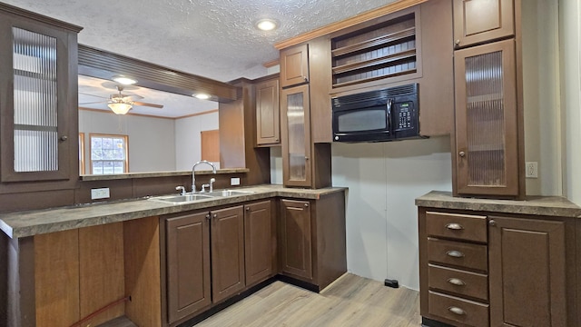 kitchen with crown molding, sink, light hardwood / wood-style flooring, ceiling fan, and a textured ceiling