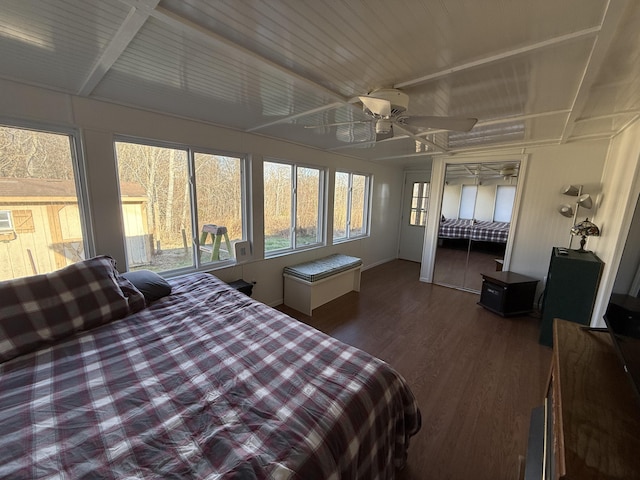 bedroom with a closet, ceiling fan, and hardwood / wood-style floors