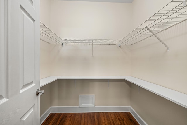 spacious closet featuring dark wood-type flooring