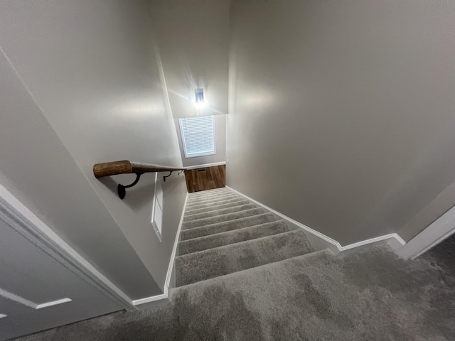 stairs featuring carpet